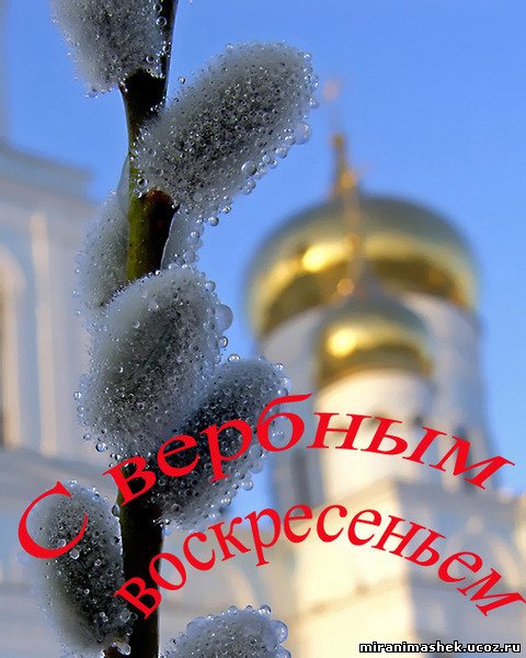 934103734.jpg