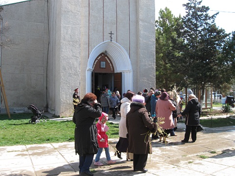 IMG_8446.JPG
