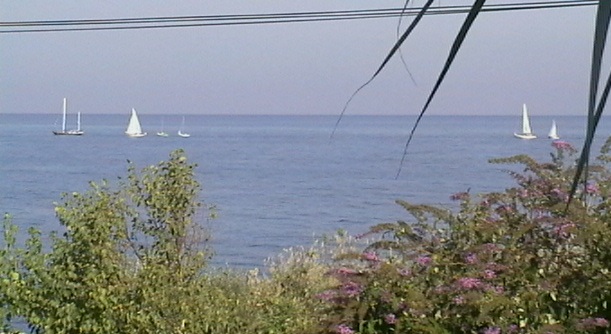 IMGA0384.JPG