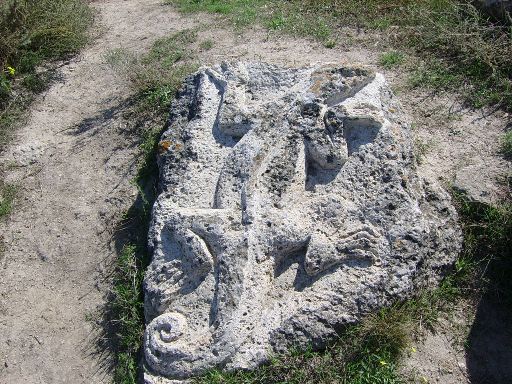 2SSA50212.jpg