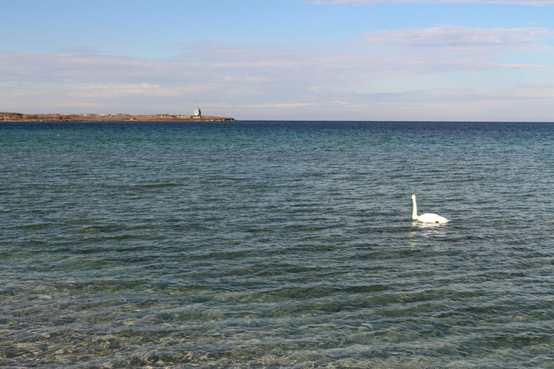 IMG_6866.jpg