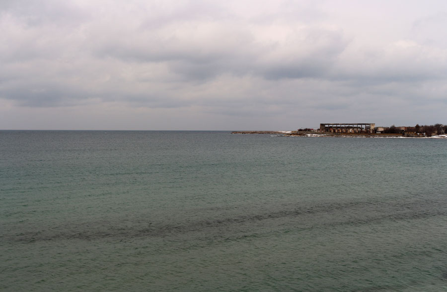 IMG_6932.jpg