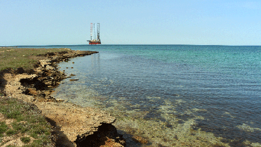 IMG_88101777.gif
