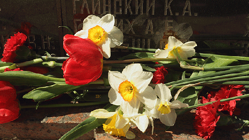IMG_9069777.gif