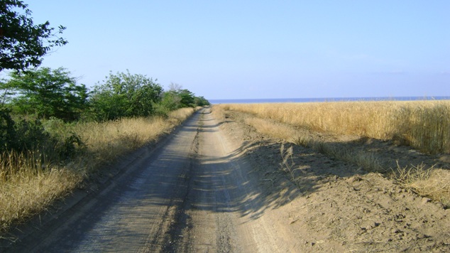 DSC03403.JPG