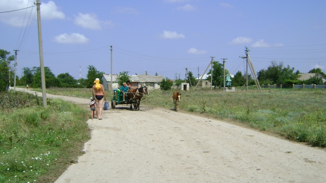 DSC03554.JPG
