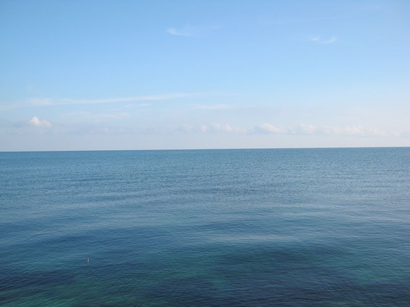 IMG_0300.jpg